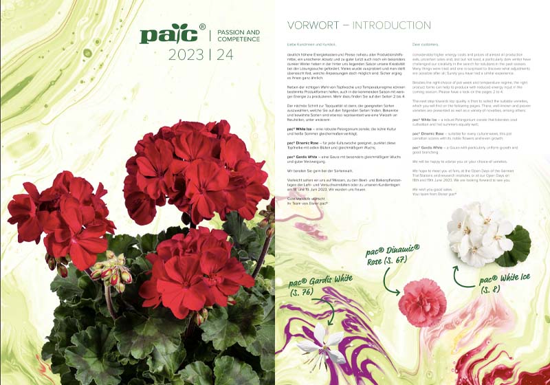 catalog pac rasaduri si butasi 2023 2024