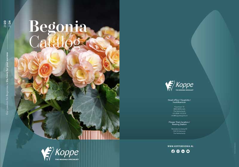catalog begonia koppe 2023 2024