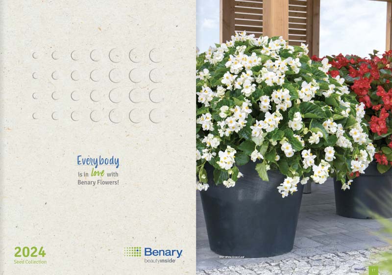 catalog de seminte anuale 2024