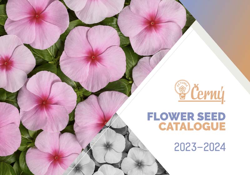 catalog seminte flori cerny seeds 2023 2024