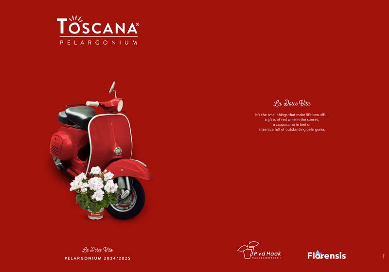 pvd haak toscana muscate curgatoare drepte 2024 2025