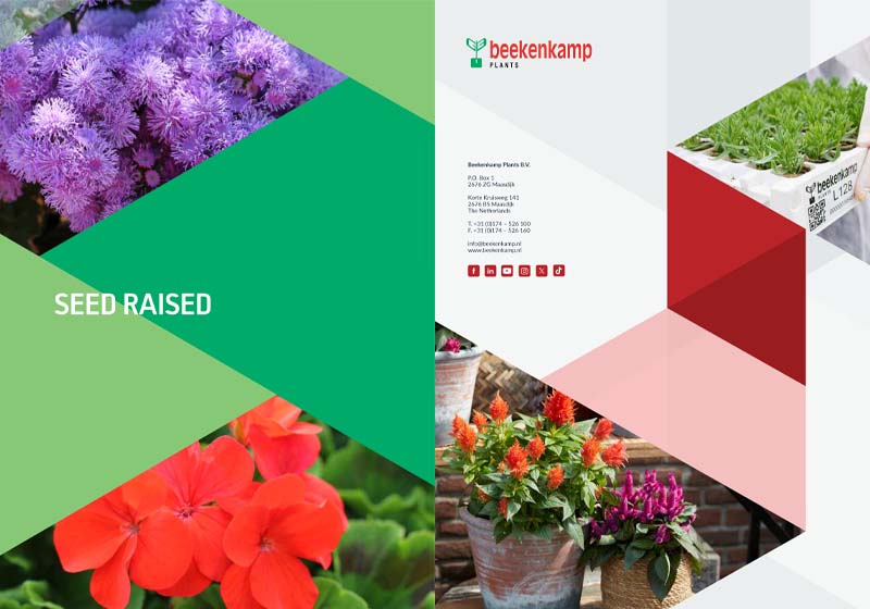 catalog rasaduri beekenkamp 2024 2025