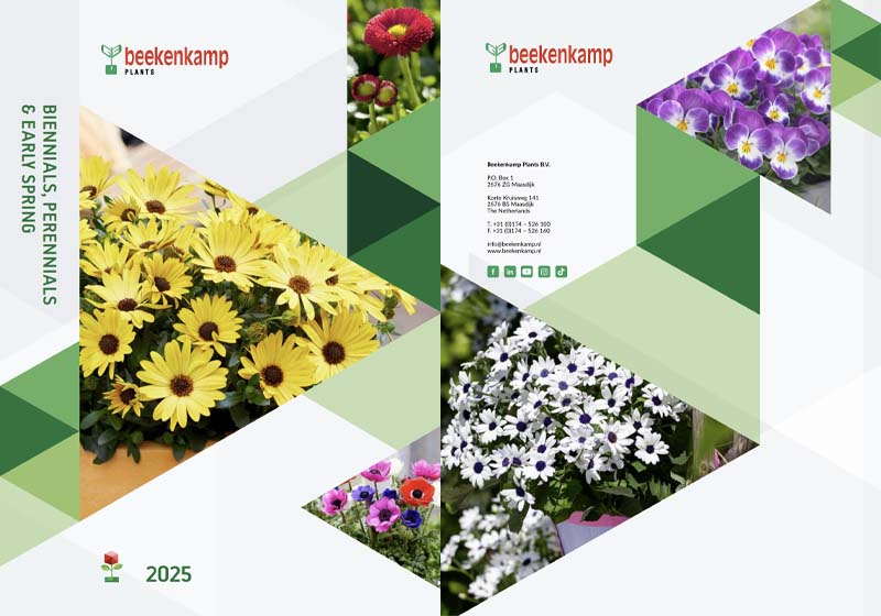 beekenkamp bienale perene 2025 2026