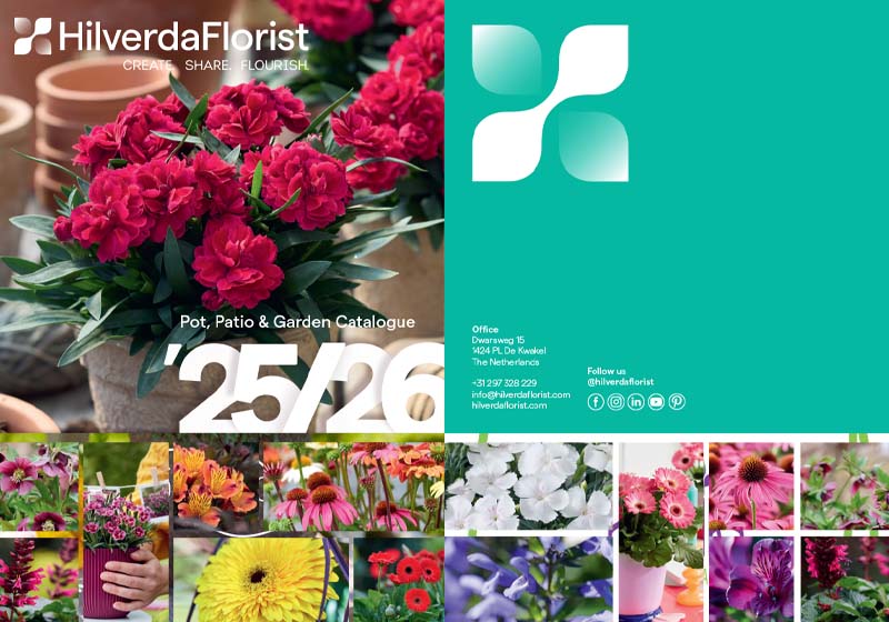 hilverdaflorist 2025 2026